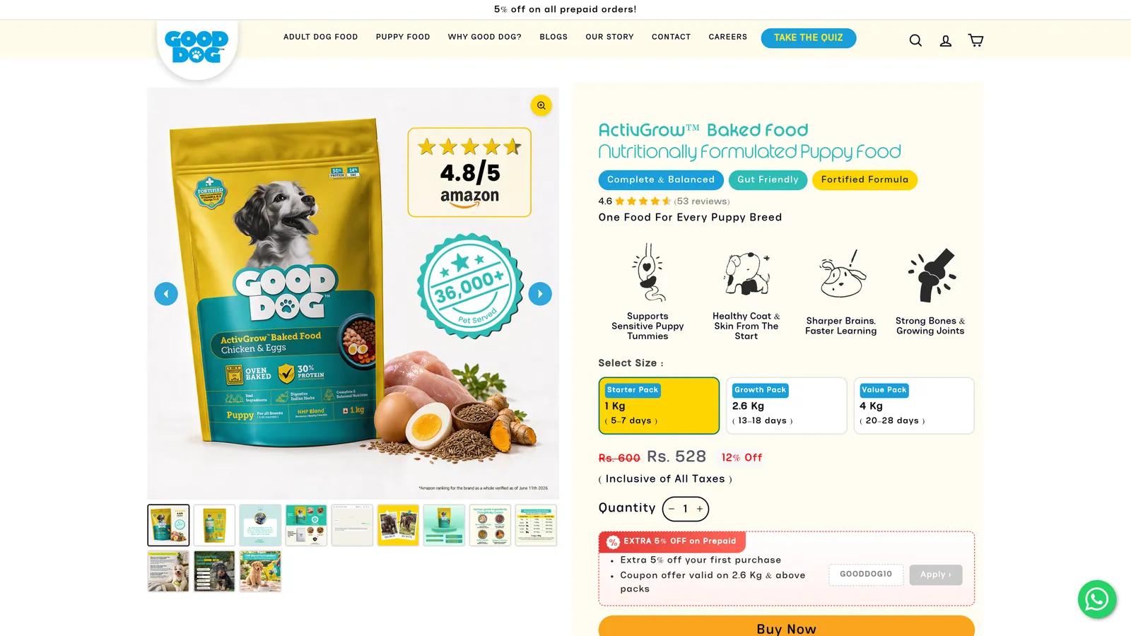 Good Dog India website — screenshot of fourth selected page